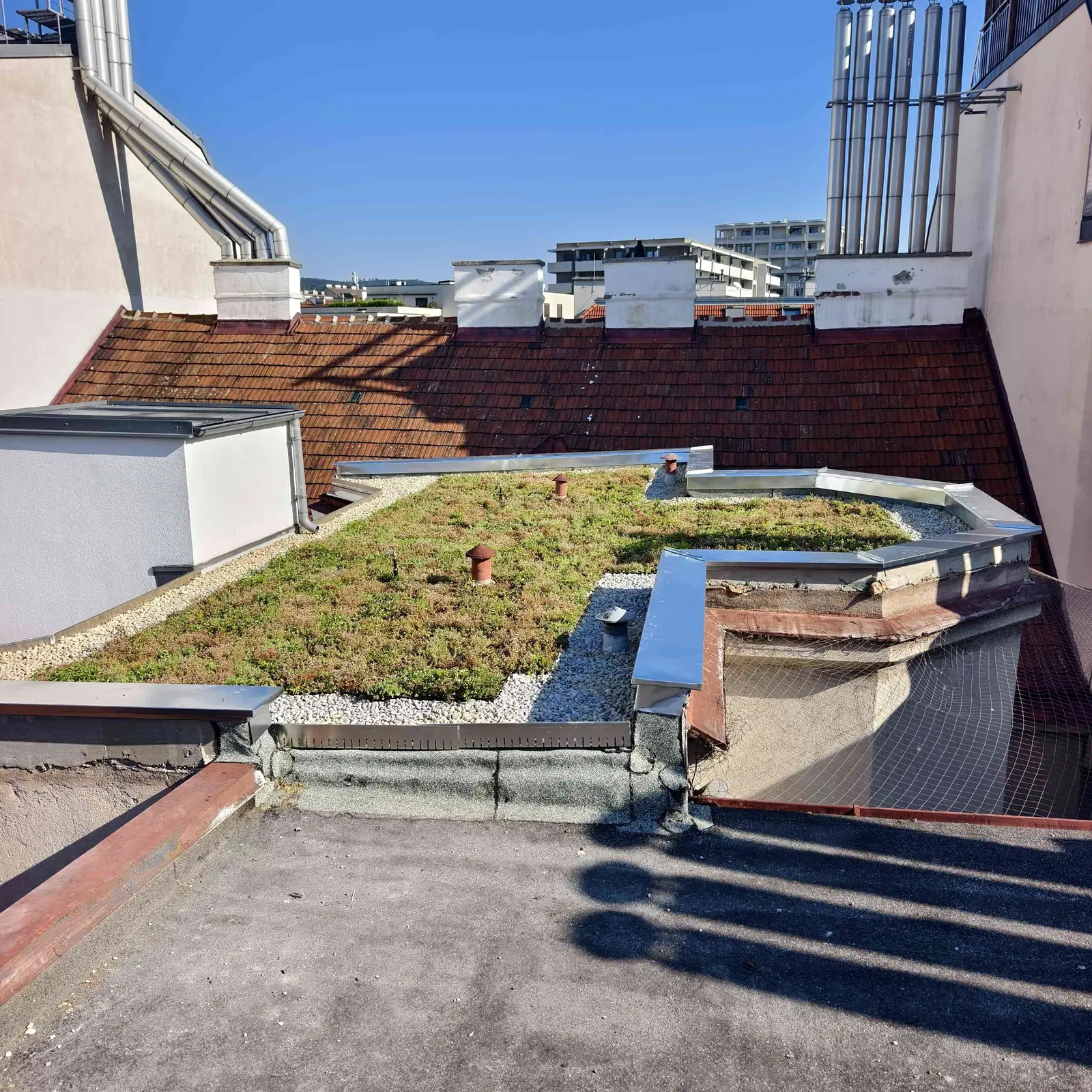 Dachbegrünung bei einem Stadtprojekt